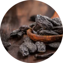 Vanilla (Gourmand Version) base