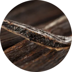 Vanilla & Patchouli base