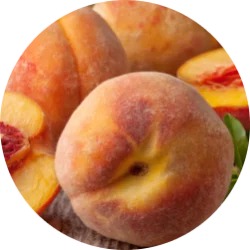 Vanilla & Patchouli head